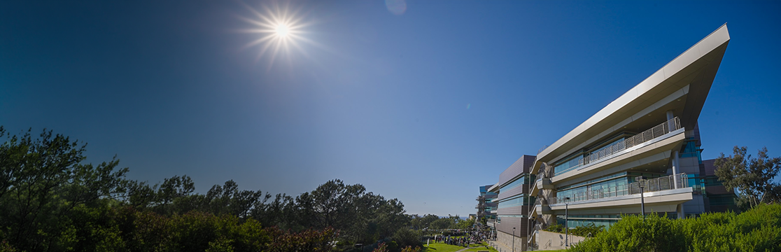 Rady school of management