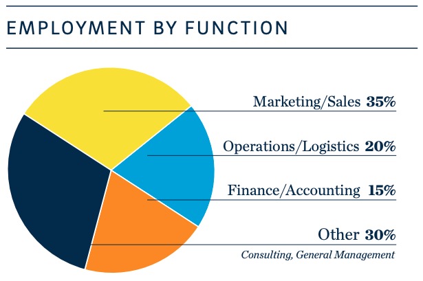 Pie Chart MBA Employment by Function