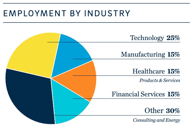 Pie Chart MBA Employment by Industry